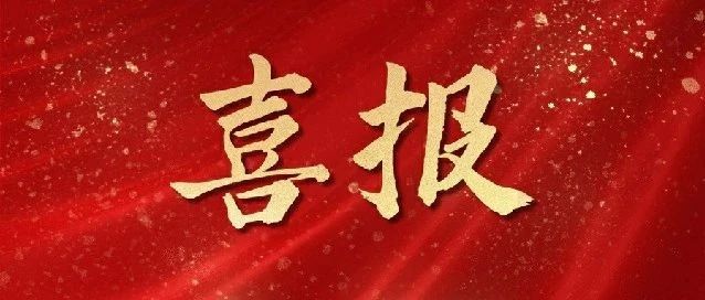 【喜报】亚中制药首个数字化车间顺利通过认定